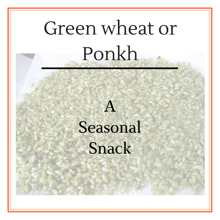 Green wheat or ponkh a most popular surati snack. 
 Low carb food, Great for weight loss and Greatly improves bowel health. Helps with Irritable Bowel Syndrome, laxation and general bowel health.
#surat #ponkh #sauratisnack #healthysnack #wintersnack #winterfood #winterwonder #greenwheat #wheat #gujarat #indianfood #food #localfood #seasonalfood #seasonalsnacks 
#dietitian #komalpatel