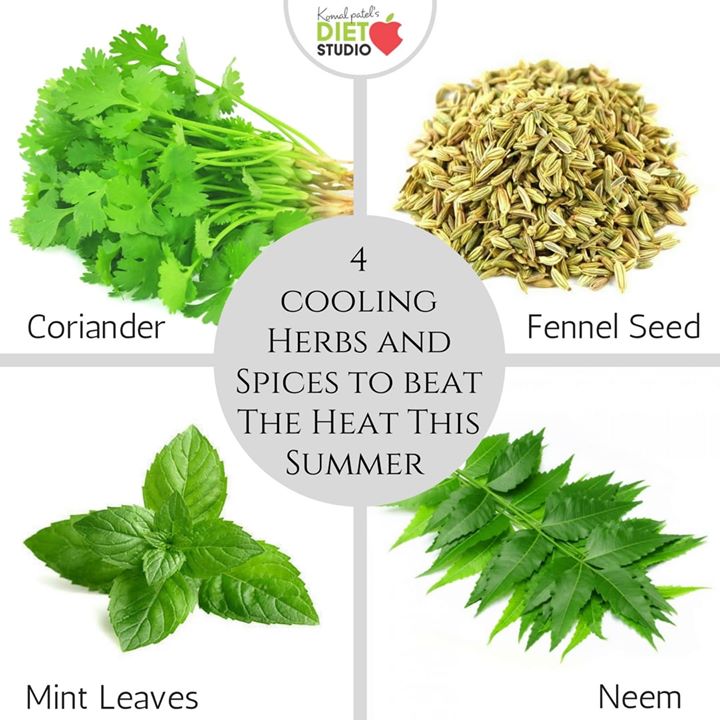 As the days of summer get longer and warmer, it can seem nearly impossible at times to keep cool in the blistering heat. Staying cool can depend on much more than icy-chilled beverages and air conditioning, and the foods you eat can absolutely lend a hand.
These cooling herbs will help you beat the heat...
#beattheheat #summercare #summertips #summer #heat #tips