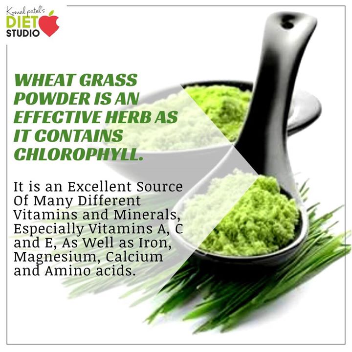 The extensive combination of vitamins and nutrients may make wheatgrass an exceptional choice to enhance your well-being. 
#wheatgrass #wheatgrasspowder #herb #indianherb #vitamin #minerals #chlorophyll