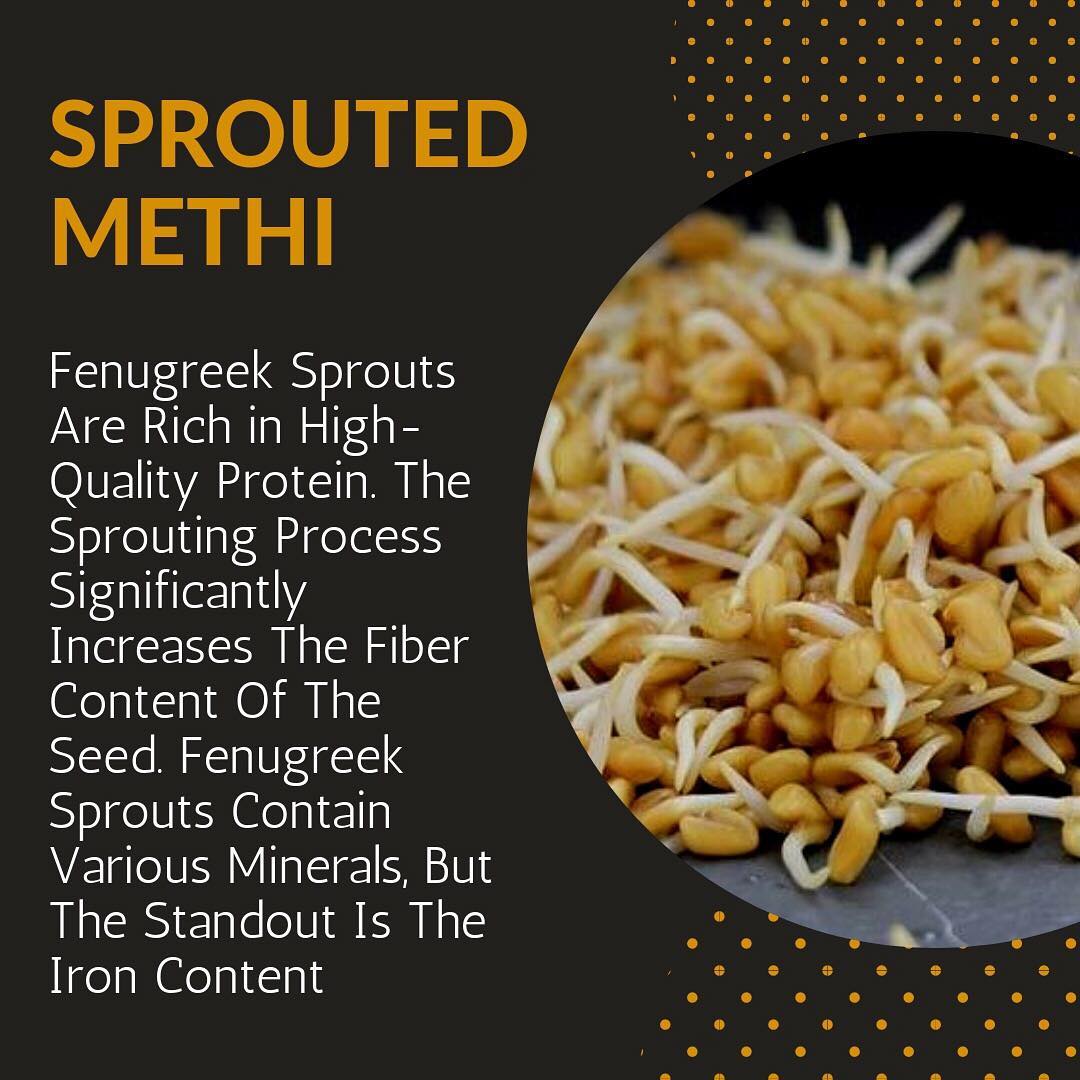 Fenugreek sprouts contain various nutrients but are particularly rich in fiber, protein and iron. 
Bring on the Fiber. 
Rich in Iron. 
Contains High Quality Protein.
#fenugreek #sprouts #fenugreeksprouts #fiber #protein #iron