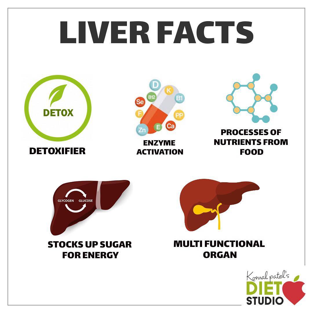 #Knowyourbody 
Your liver does all kinds of work that's critical to your health.
The liver has many functions, controlling storage and concentration of nutrients such as proteins, fats, carbohydrates, vitamins, and minerals, making proteins and clotting factors, and producing bile, a digestive compound.
#liver #function #organs #body #healthybody