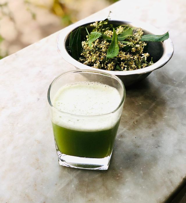 There is a common practice of drinking neem juice in this month. 
Neem is known as “Sarvo Roga Nivarini” – the cure of all ailments. Neem strengthens our immunity in this seasonal changes. 
Have it fresh in the morning to rejuvenate your body. 
#gudipadwa #neemjuice #rejuvenate #neem #neemtree