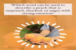 Funtime 

Which word can be used to describe a peach that is surprised, shocked, or angry with strong emotion? 

Write your answers in comment section …
#ilovepeachthrills #peaches #sesonalfruit #komalpatel #dietitian #diet #seasonalfruit